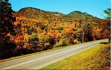 Autumn Scene Blue Ridge Parkway Grandfather Mountain North Carolina NC Postcard picture