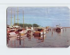 Postcard Fishing Fleet, Florida picture