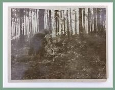 c1917 TYPE-3 PRESS PHOTO, WWI SOLDIER PLACING FLOWERS ON MAKESHIFT GRAVES picture