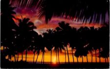 Postcard The Red Glow of a Fiery Sunset Silhouetted by Palm Trees Hawaii HI 1088 picture