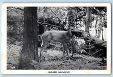 Glidden Wisconsin WI Postcard Deer Trees On Ground Scene View c1960's Vintage picture