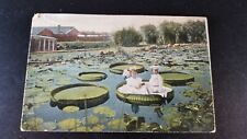 Antique 1909 Postcard TWO CHILDREN SITTING ON GIANT LILY PAD Colored Photo  picture