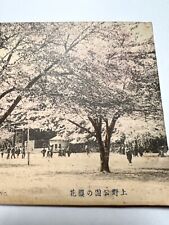 Antique postcard Cherry Blossoms in Ueno Park, Tokyo picture