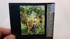 HWT HISTORIC Magic Lantern GLASS Slide YES WE HAVE SOME BANANAS TODAY JAMAICA picture