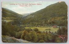 Postcard Pine Hill Big Indian Station Catskills NY c 1911 Divided Back Germany picture