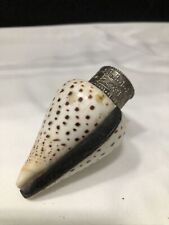 Vintage Seashell Container Conus Imperialls Top Mother Of Pearl picture