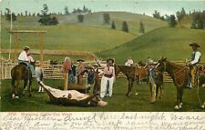 c1907 Chromolithograph Postcard 3721 Branding Cattle Out West, Posted Montana picture