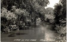 Neligh RPPC River City Park 1950 NE  picture