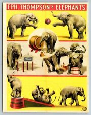 Eph. Thompson's Elephants  Circus  Replica  Poster  Postcard picture