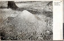 postcard - Giant Mound Ant Hill, Altoona, Pa picture