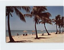 Postcard Sun-Tanning Florida USA picture