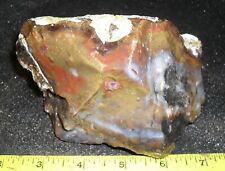 Colorful JASPER rough … nice piece … 2.2 lbs picture