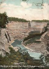 Vintage Postcard The Gorge On Genesee River Near Portage Falls Olean New York NY picture