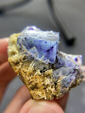 TOP 50g natural purple core cubic blue fluorite and crystal mineral specimens picture