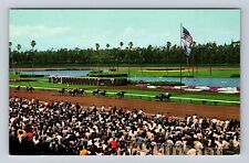 Inglewood CA-California, Panoramic View Hollywood Park, Vintage Postcard picture