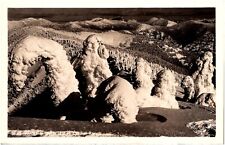 Winter in North Idaho's Cabinet Range Snowy Trees 1940s RPPC Postcard Photo picture