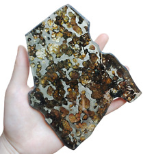 114g Beautiful Brenham pallasite Meteorite slice - from USA TA103 picture
