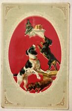 Three Dogs With Dinner Tray 1913 Vintage ￼Postcard picture