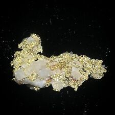 California Crystalline Gold Bearing Quartz Nugget - Natural Mineral Specimen. picture