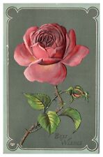 Vintage Embossed Best Wishes Postcard c1908 Large Rose picture