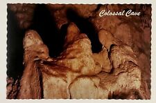 1970s Praying Nuns Colossal Cave Tucson Arizona VTG Postcard Caverns Souvenir AZ picture