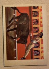 1956 ADVENTURE GUM Card #56, Charging Bull picture