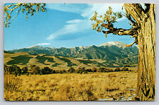 Alamosa Colorado Great Sand Dunes Monument Postcard picture