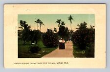 Miami FL-Florida, Hibiscus, Date and Cocoa Nut Palms, Antique Vintage Postcard picture