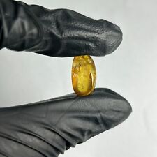 NATURAL MEXICAN PERFORATED PEAR AMBER CABOCHON 3.0 Cts/ 0.6 grams. REAL AMBER picture
