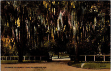 Postcard  Entrance To Riverside Park Jacksonville Fla [dc] picture