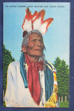 ca1950 South Dakota Sioux Indian Medicine Man Little Warrior Postcard picture