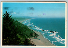 c1960s Gold Bluff Afternoon Fog Redwood Park Vintage Postcard Continental picture