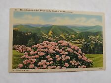 Rhododendron in Full Bloom in the Heart of the Mountains P003E picture