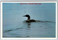 c1960s Squaw Lake Minnesota Common Loon State Bird Vintage Postcard picture