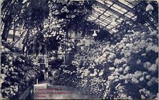 Chicago IL-Illinois Chrysanthemum Show Lincoln Park Conservatory Old Postcard picture