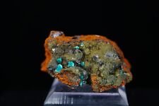 Aurichalcite / Mineral Specimen / Ojuela Mine, Mexico picture