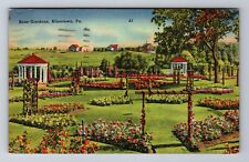 Allentown PA- Pennsylvania, Rose Garden, Antique, Vintage c1944 Postcard picture
