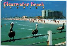 Postcard - Clearwater Beach, Florida picture
