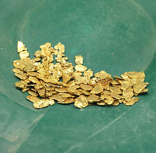 5 LB JACKPOT PAYDIRT ™ Gold Panning Concentrate - Find Nuggets Flakes Specimen picture