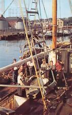 MA New Bedford 1950s Pauline H @ Pier 9 Deep Sea Fishing Fleet postcard A28 picture