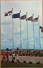 Pensacola Florida People View Five Flags Postcard c1960 picture