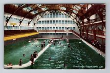 Ocean Park CA-California, Ocean Park, the Plunge, c1922 Vintage Postcard picture