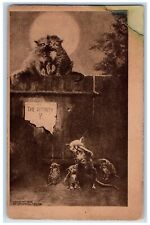 1909 The Affinity Cat Kitten Indianapolis Indiana IN Posted Antique Postcard picture