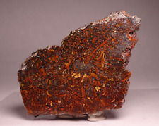 Red Moss Agate Jasper Cady Mountains California picture