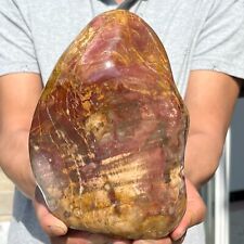 6.24LB Natural Fossil Petrified Wood Polished Freeform Crystal Mineral Healing picture