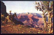 VTG Postcard O'Neill Butte, Grand Canyon National Park, Arizona Man on Horse picture