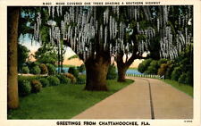 Chattahoochee, Florida, Asheville Post Card Co., Apalachicola Arsenal, Postcard picture
