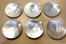 Six Large Natural Mother of Pearl Iridescent Sea Shell Caviar Appetizer Plates picture