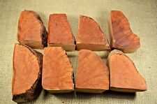 8 Plateau Greek Briar Blocks 30 Years Old Top Quality Medium Pack 1D-17 picture