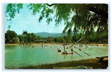 Shenandoah Acres Family Resort Stuarts Draft VA Virginia Postcard F6 picture